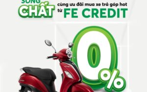 Deep Dive into Credit Systems